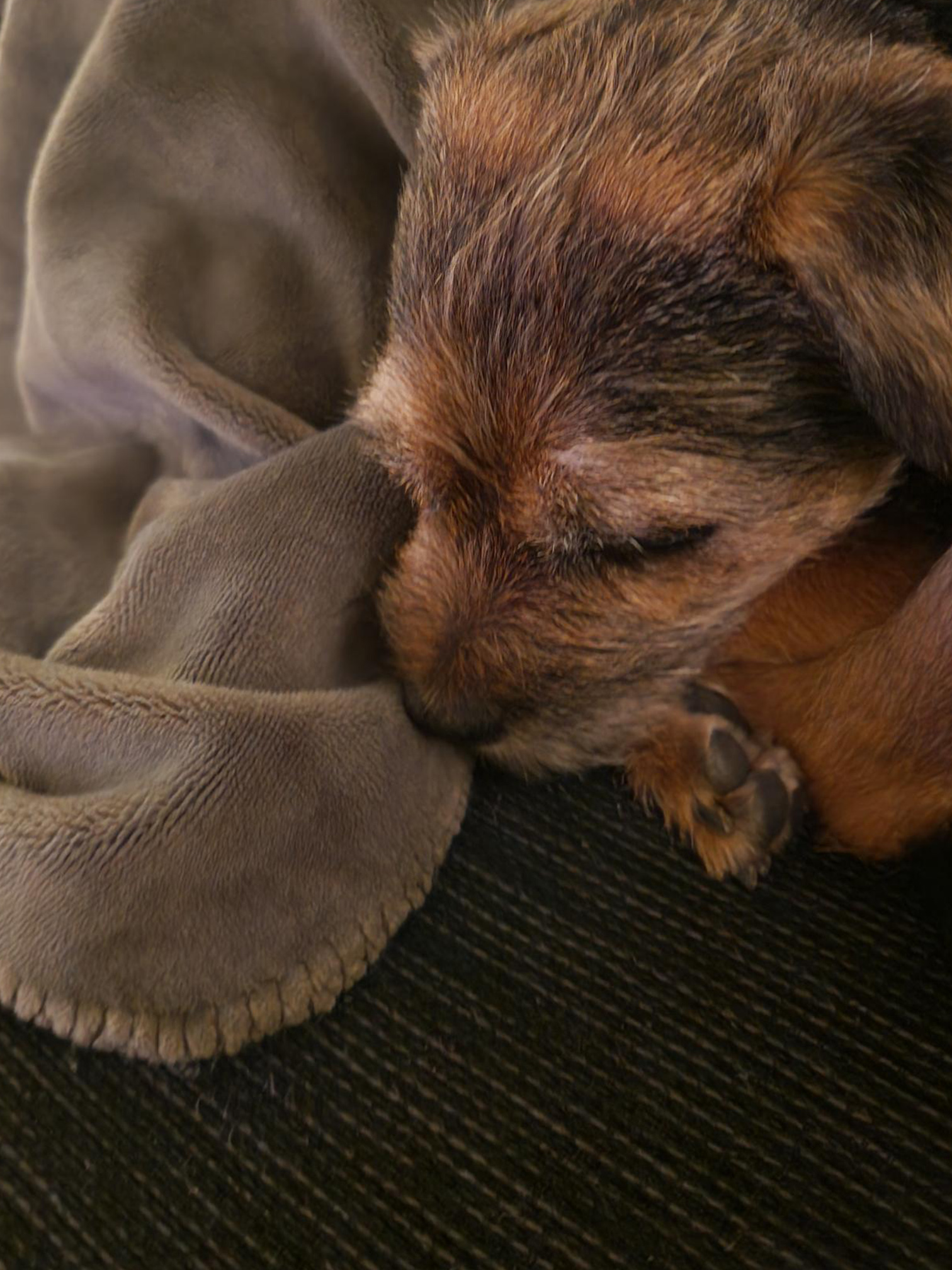 Foto på Emelies telefon